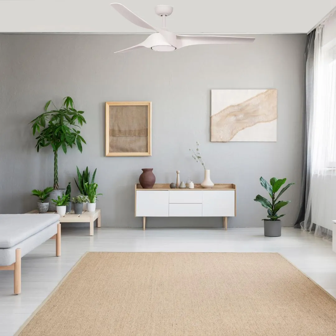 Ceiling and Pedestal Fans