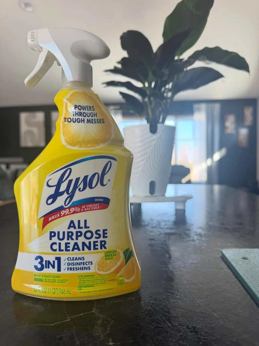 Lysol All Purpose Cleanser