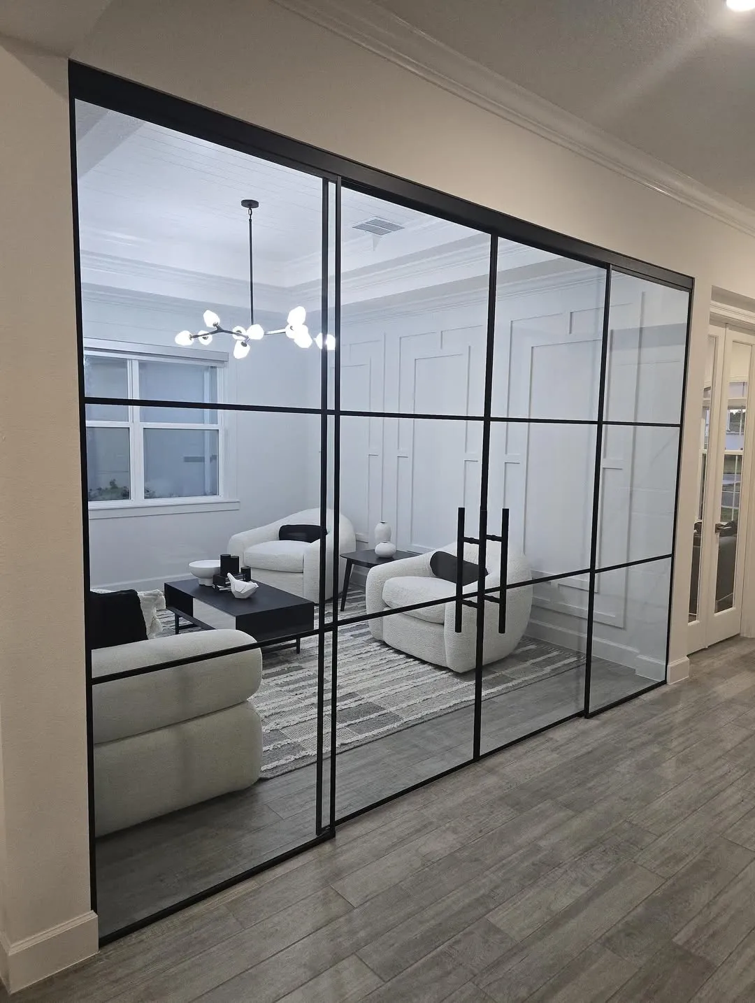 Mirrored Door