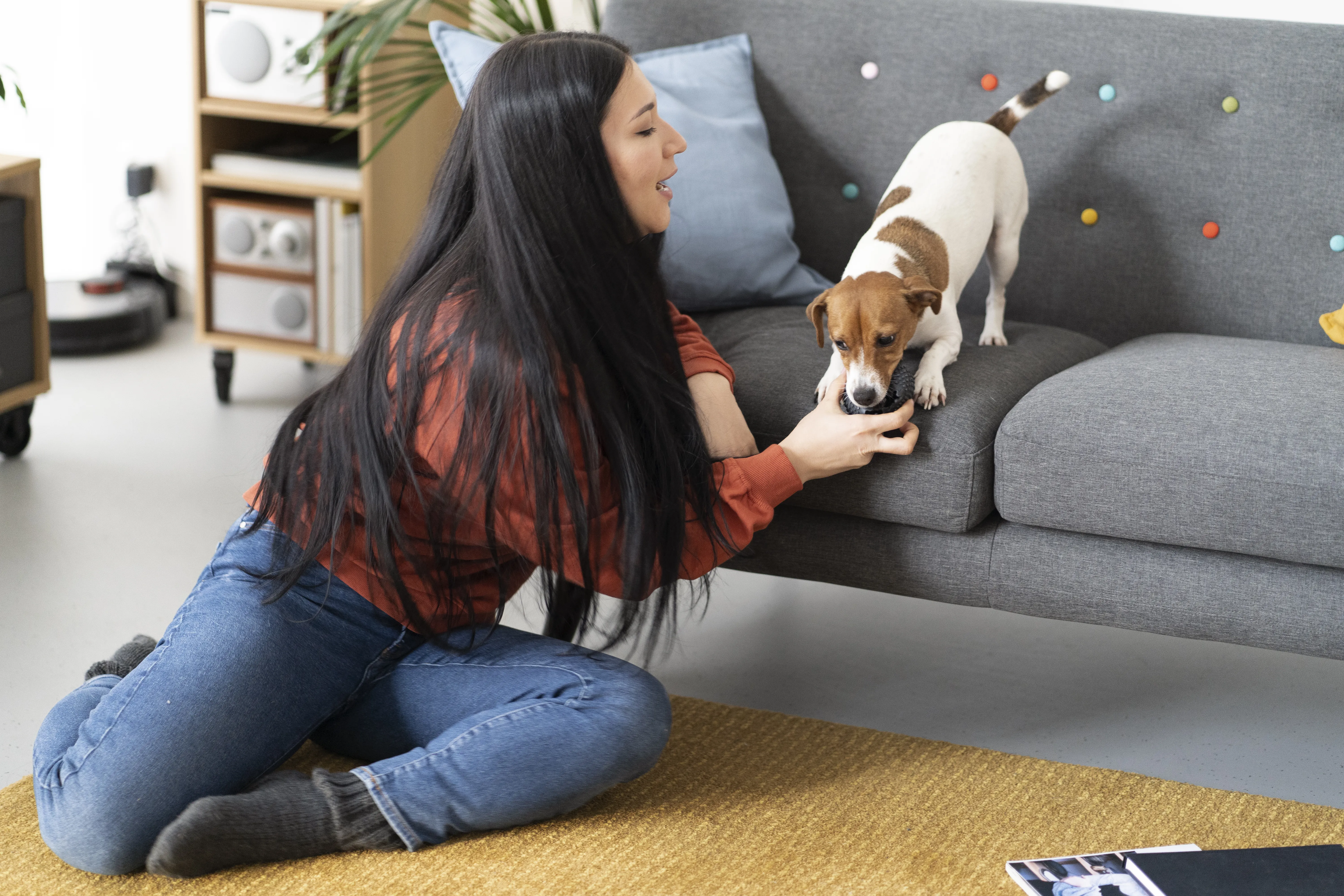 Create a stress-free environment with these smart design tips for dog owners. Learn to pet-proof your home using easy-to-clean materials, secure storage, and dog-safe landscaping strategies.