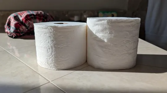 Amazon Basics vs Kirkland Toilet Paper​